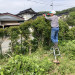 S__33251341_0.jpg