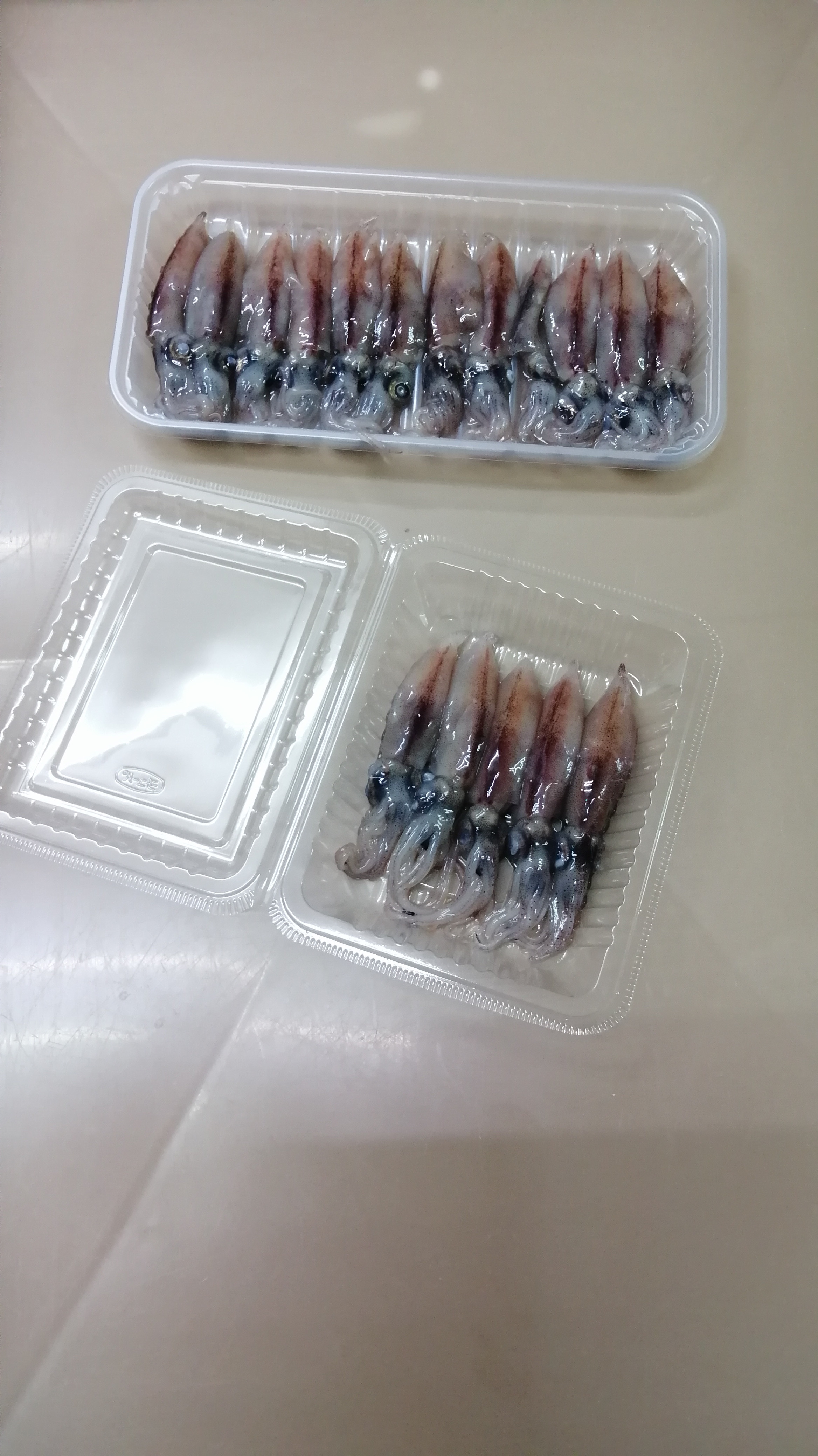 ホタルイカ大量入荷！