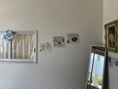 IMG_3649.jpeg