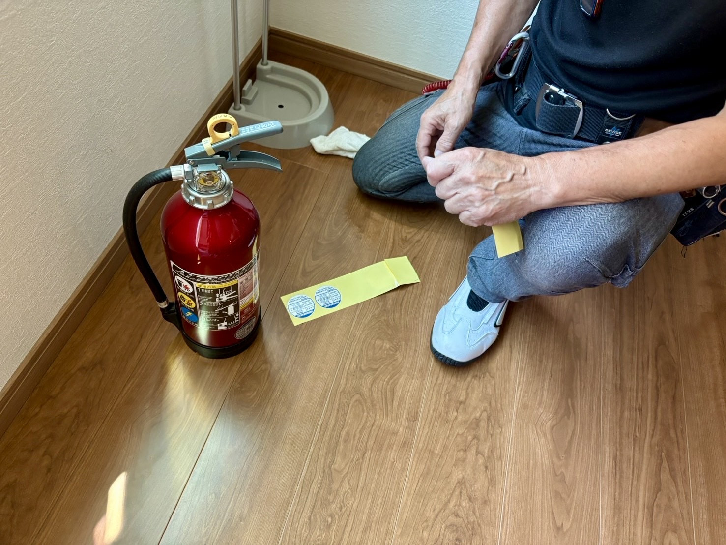 IMG_0253.jpeg