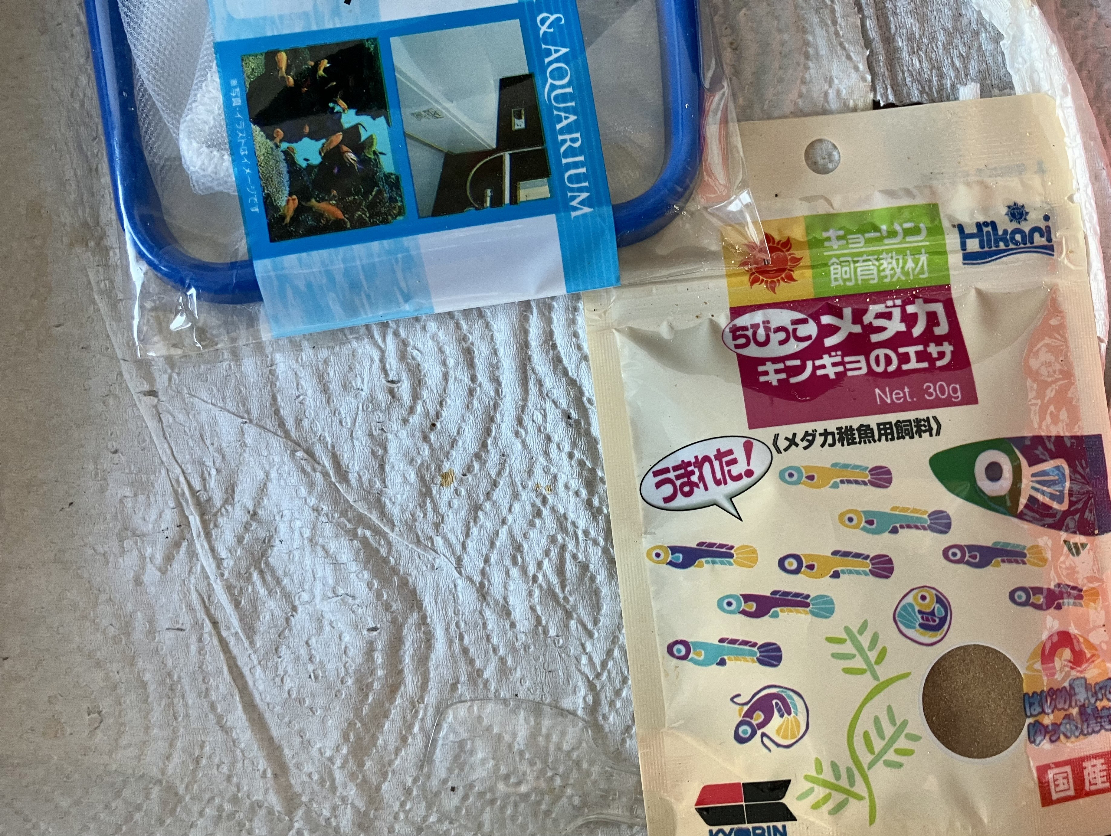 IMG_0780.jpeg