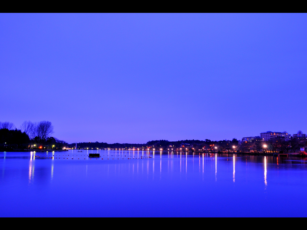 水戸市　千波湖の夜景