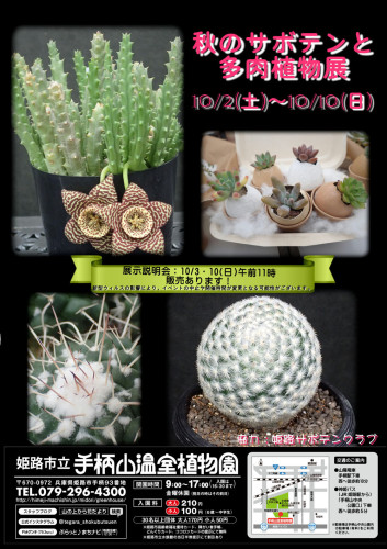 秋のサボテンと多肉植物展