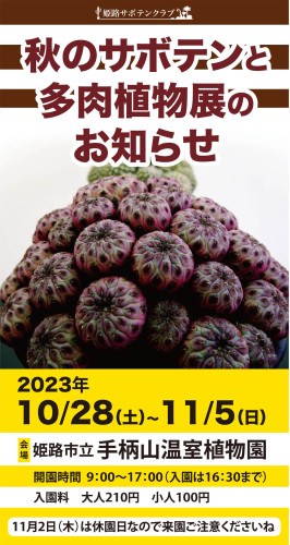 秋のサボテンと多肉植物展のご案内