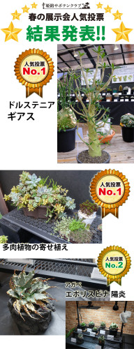 2025-sp-best-3.jpg