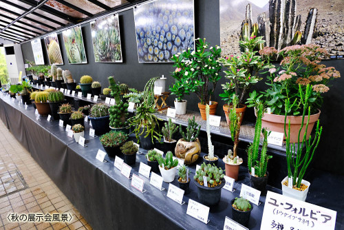 定例会　11月30日(日)