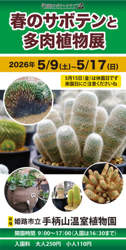 春のサボテンと多肉植物展