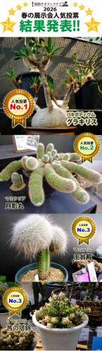 2026-spring-best-3.jpg