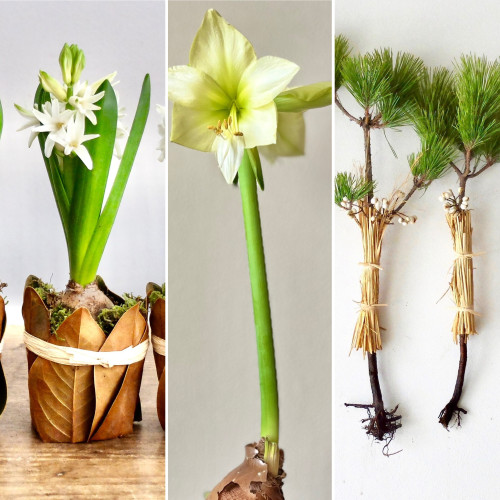 12月の販売について