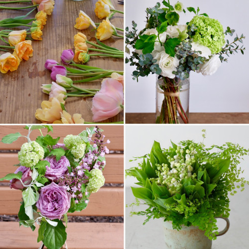 ４月のレッスンプログラムを公開しました