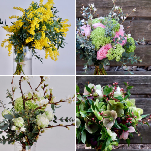 3月のレッスンプログラムを公開しました