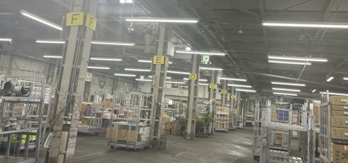 市場レッスンの様子