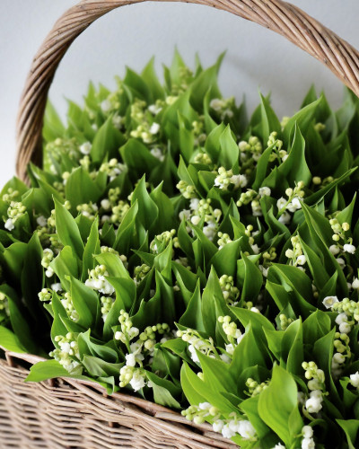  スズランの花束　販売のお知らせ