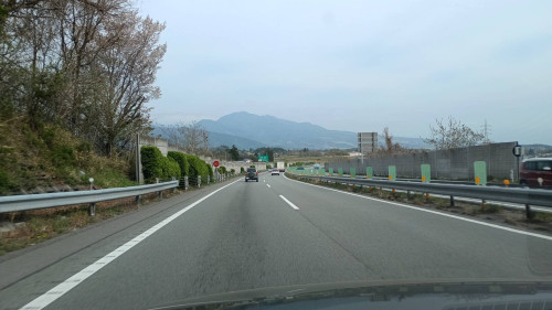 IMG_8979.jpeg