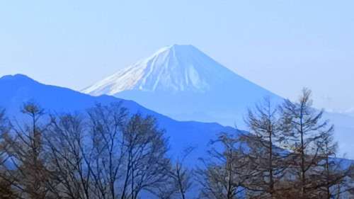 IMG_8980.jpeg