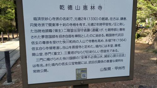 IMG_8990.jpeg