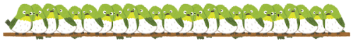 IMG_9434.png