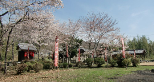 W24 須賀神社.jpg