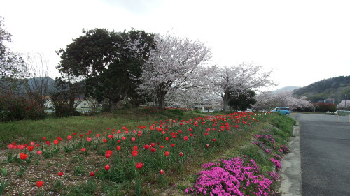 DSCF2476.JPG