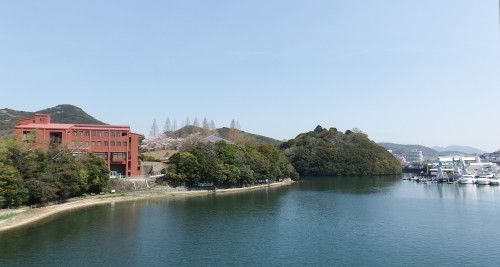 兵庫県相生市王家領矢野荘浦分大島城.JPG