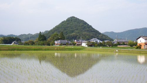兵庫県相生市王家領矢野荘下土井城.jpg
