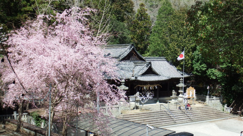 兵庫県相生市王家領矢野荘浦分那波八幡神社.JPG