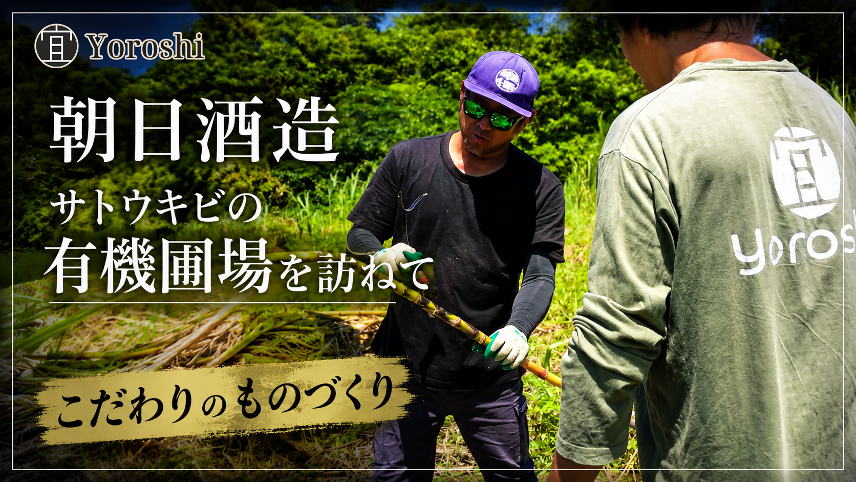 朝日酒造の動画紹介表紙