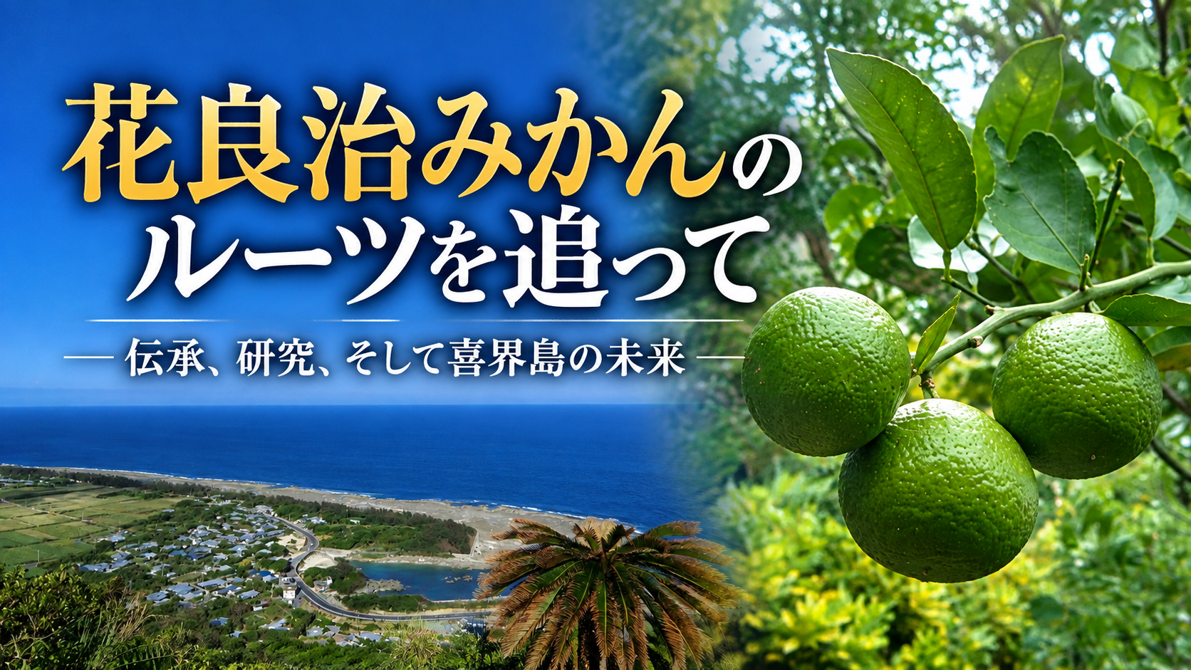 花良治みかんのルーツを追っての動画紹介表紙