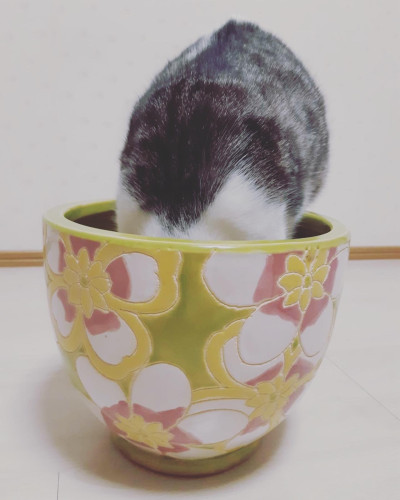 211115215823-6192596fae8e6.jpg