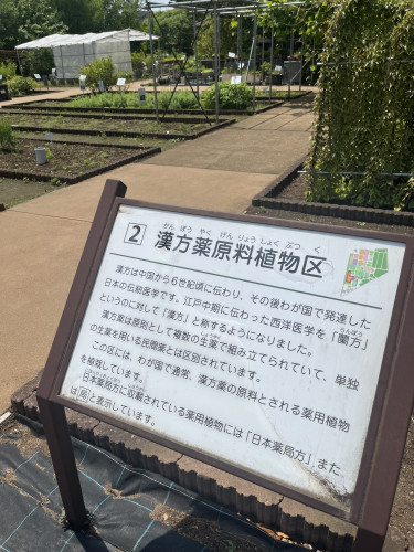IMG_8340.jpeg