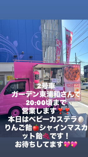 11/19  2号車ガーデン東浦和店出店