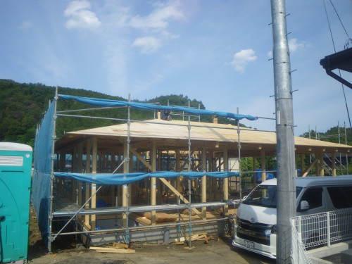 IMGP0100.JPG