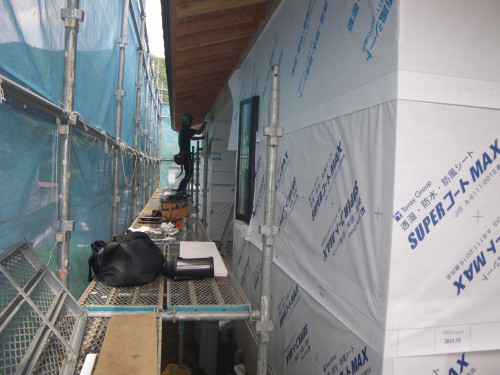 IMGP0146.JPG