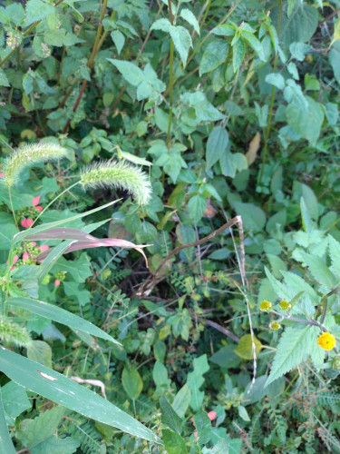 20261010_084630.JPG