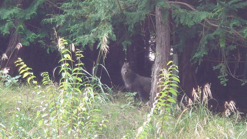 DSC_1445.JPG