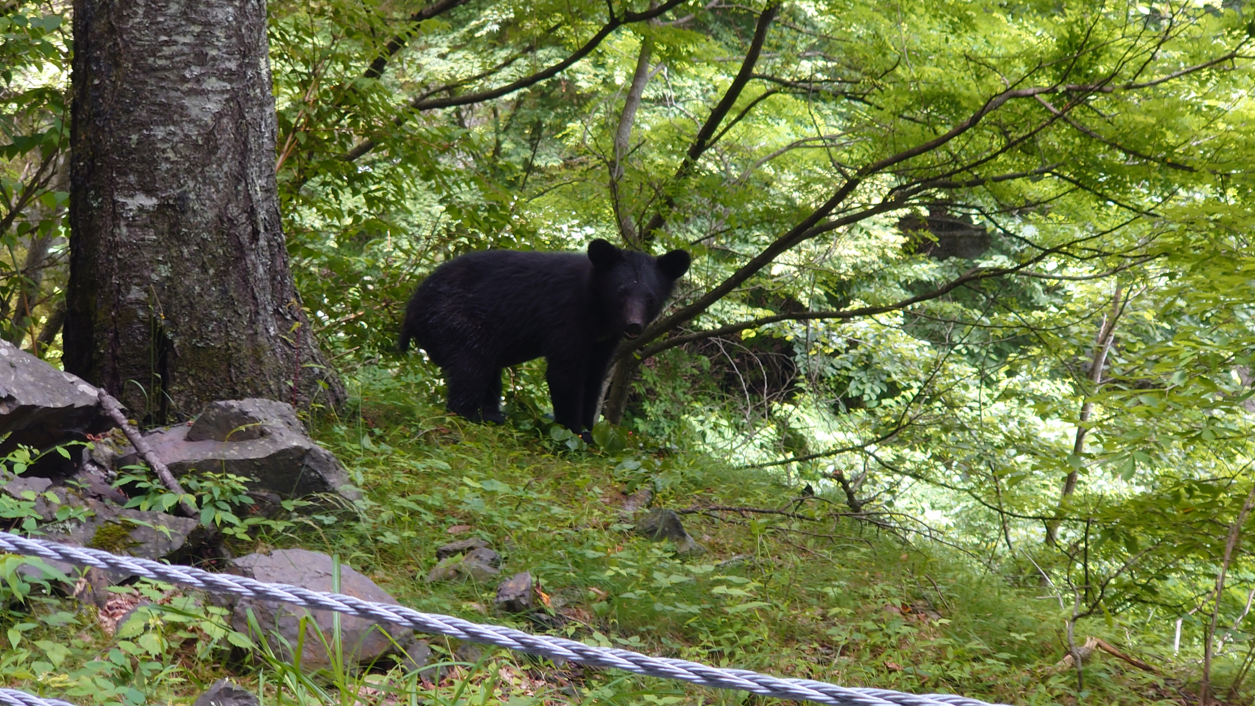 DSC_2875.JPG