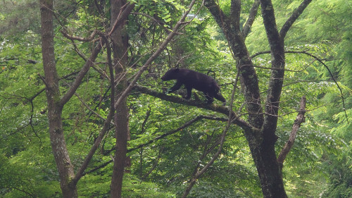 DSC_2879.JPG