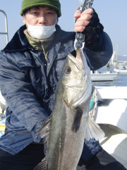 1月8日（日）釣果結果☆☆☆【鮃・鰤・鱸便】