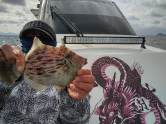 2月15日（水）釣果結果☆☆☆☆【ウマズラ・真鯛便】仕立船