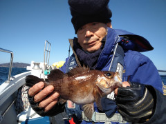 2月27日（月）釣果結果☆☆【メバル　便】