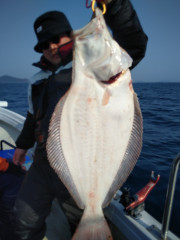 3月7日（火）釣果結果☆☆☆☆☆泳がせ【鰤・鮃・鰆便】