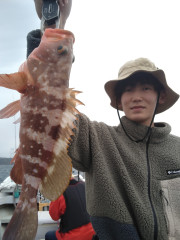 4月30日（日）釣果結果☆☆☆☆【アコウ便】