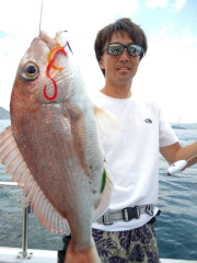 釣果結果☆☆☆☆5月14日（日）【アコウ便】
