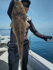 釣果結果☆☆☆5月21日（日）【鰤　便】