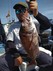 釣果結果☆☆☆5月21日（日）【鰤　便】
