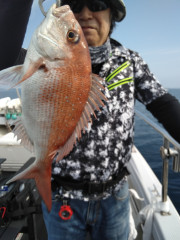 釣果結果☆☆☆☆【鰤・鰆・真鯛便】