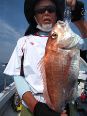 釣果結果☆☆☆☆6月17日（土）【鰤・真鯛・鰆便】