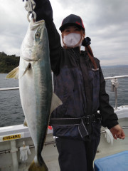 釣果結果☆☆☆【鰤・鮃・鰆・真鯛便】