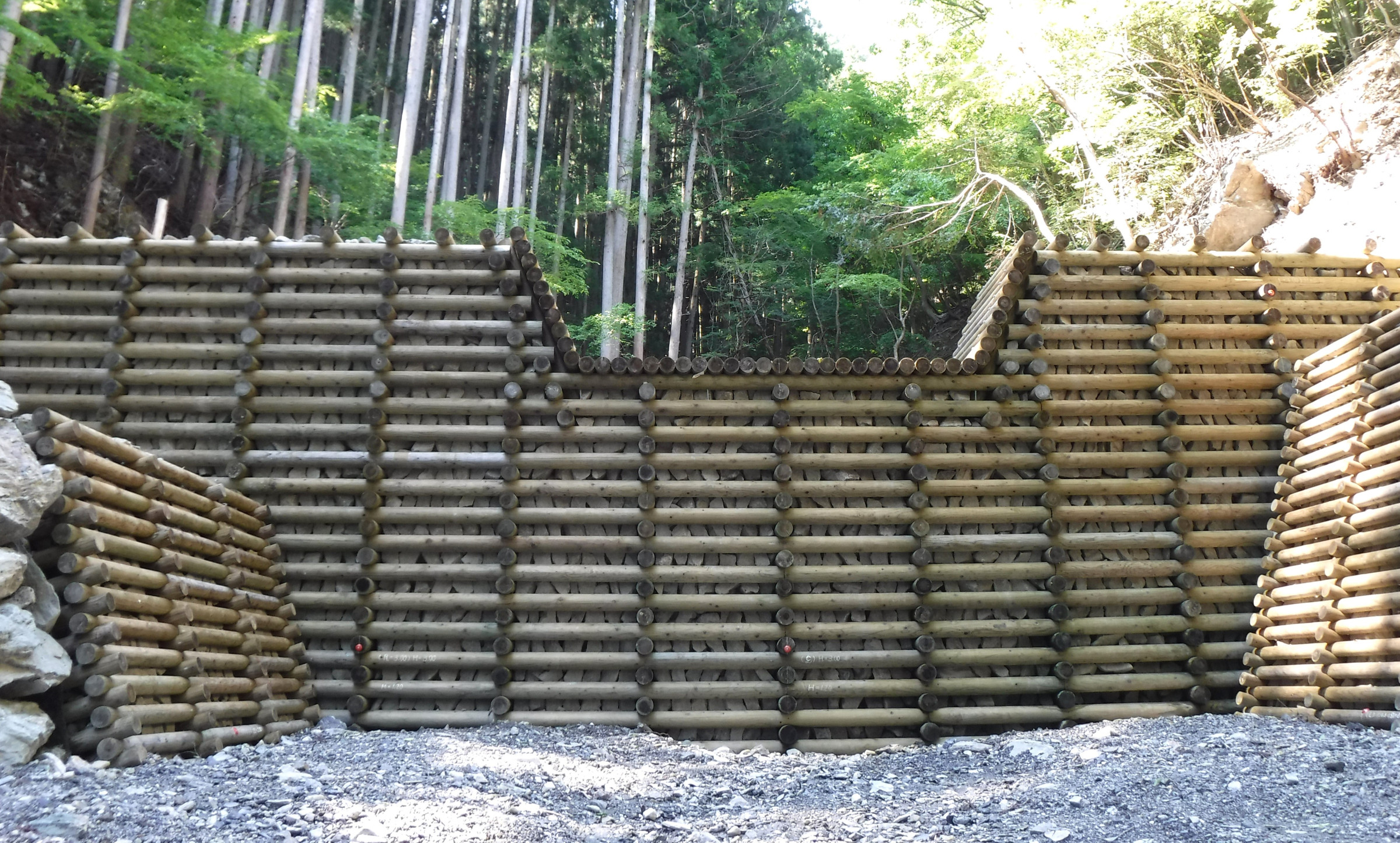 高耐久化処理木材を使用した木製治山ダムの様子