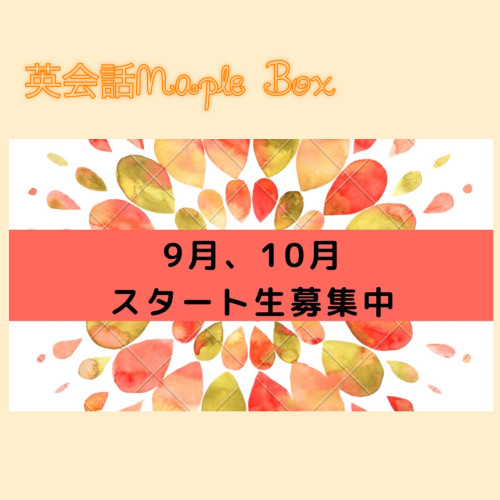 9月、10月Maple Boxスタート生募集🍁